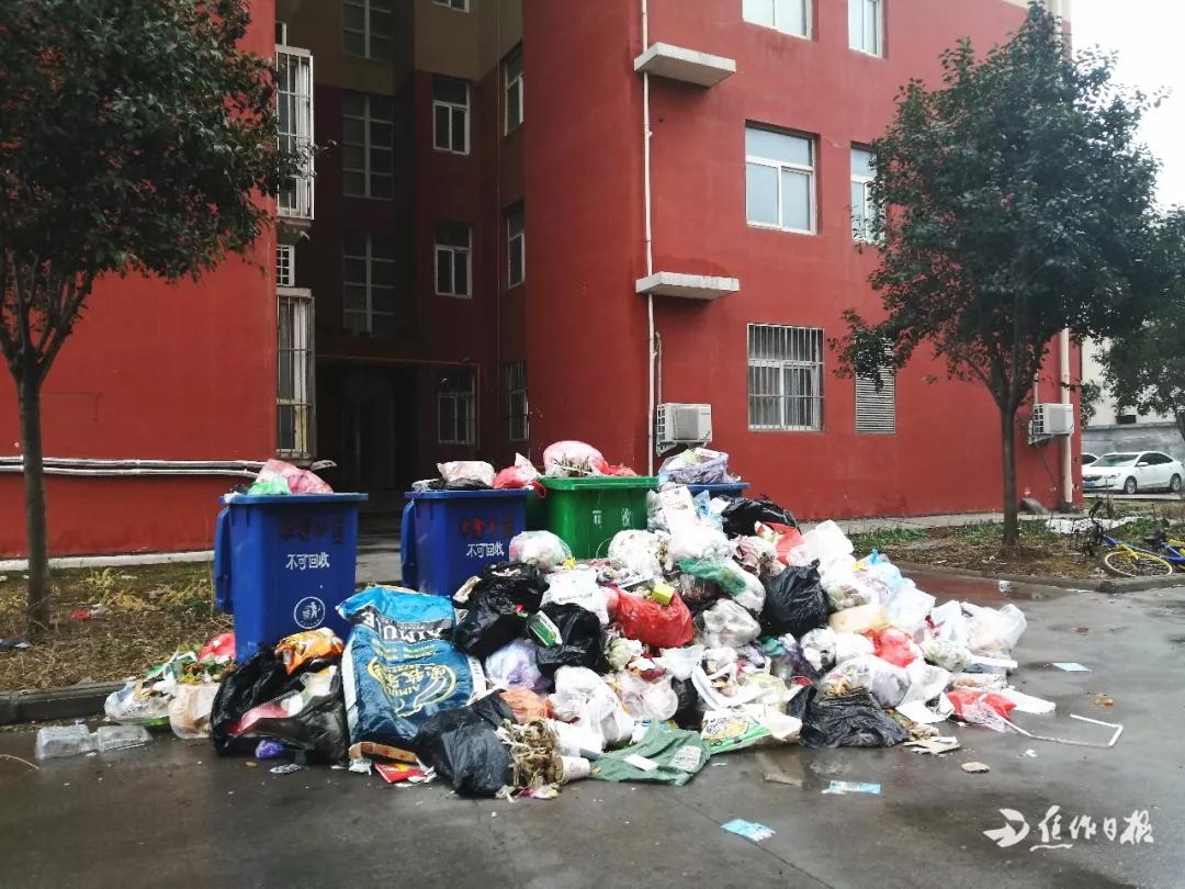 糟心小区,糟心的小区