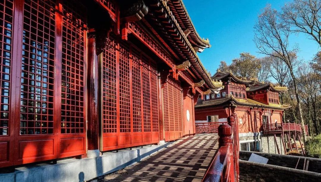 马来西亚为啥退换大熊猫,马来西亚退还中国大熊猫是真的吗