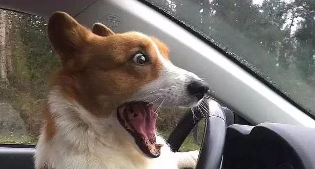 疯狂后的改变,疯狂过后的未解之局