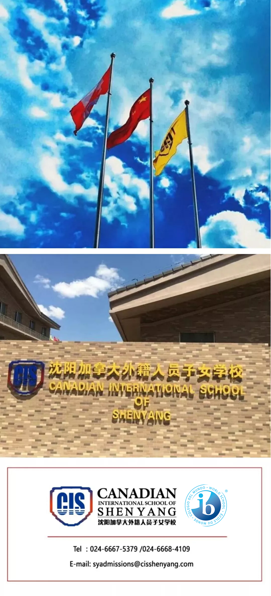 CISS部分师生参加太阳狮万丽酒店圣诞点灯活动