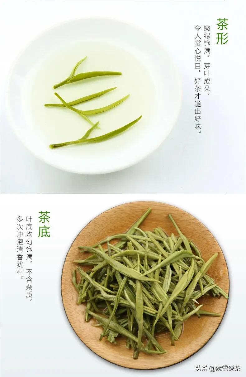 绿茶有什么功效讲解,绿茶功效与作用绿茶有哪些种类