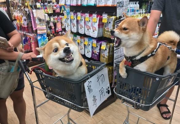 被挑衅最后忍无可忍后续,被挑衅到忍无可忍