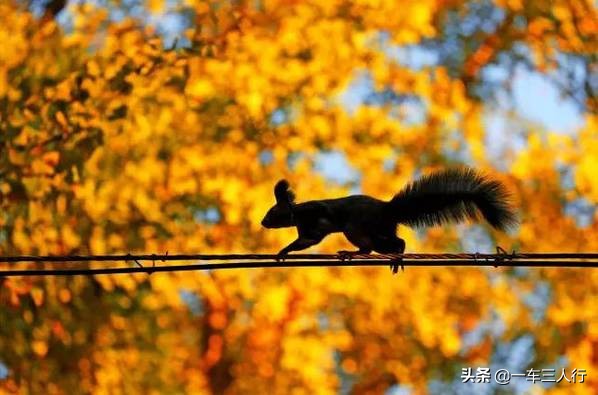 大连有一个蓝色的小城堡景点,大连秋季旅游景点攻略大全