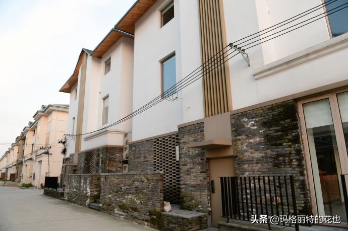 上海洋水仙,上海璞素上居民宿抖音团购