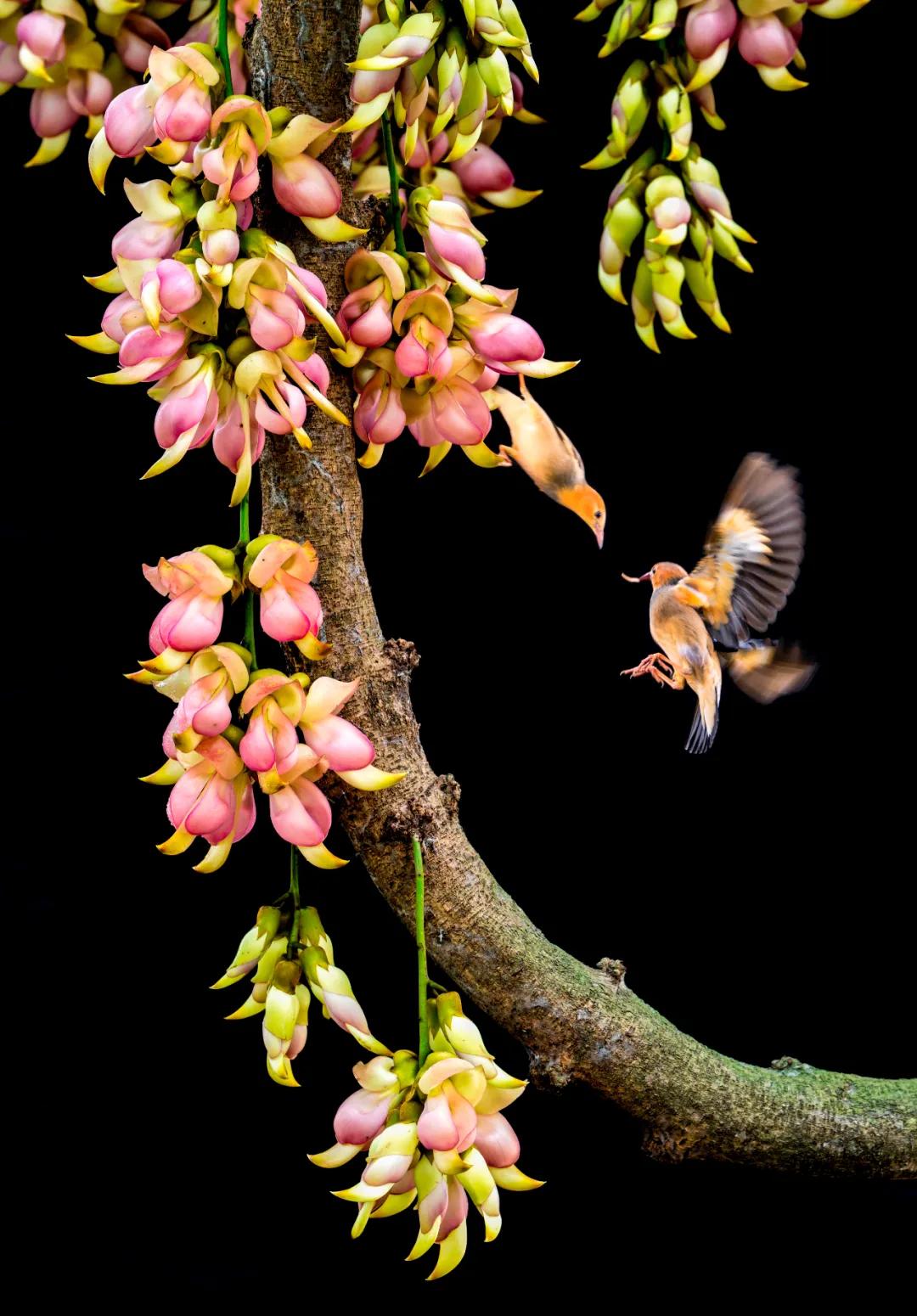 香港第14届全国摄影艺术展,第29届全国摄影艺术展览获奖名单