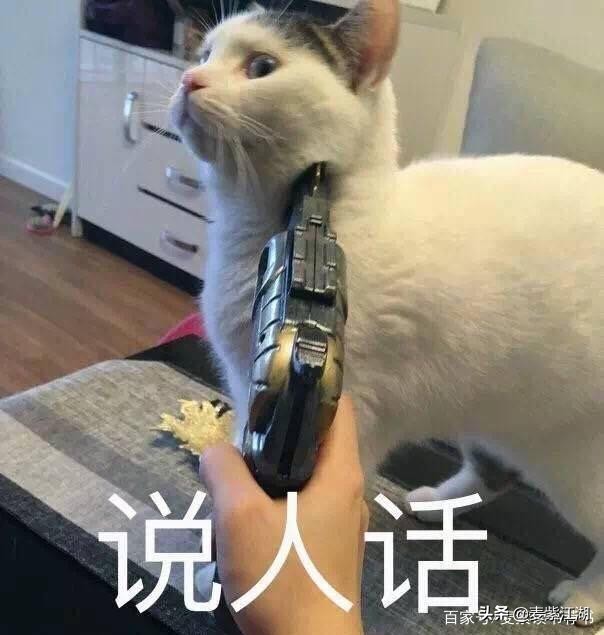 断舍离最佳对策,断舍离最省钱的方法技巧