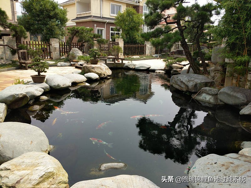 一个强大的过滤系统,一个过滤系统带多个鱼缸