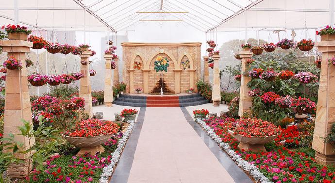 青青世界深圳好玩吗,深圳青青世界要门票吗