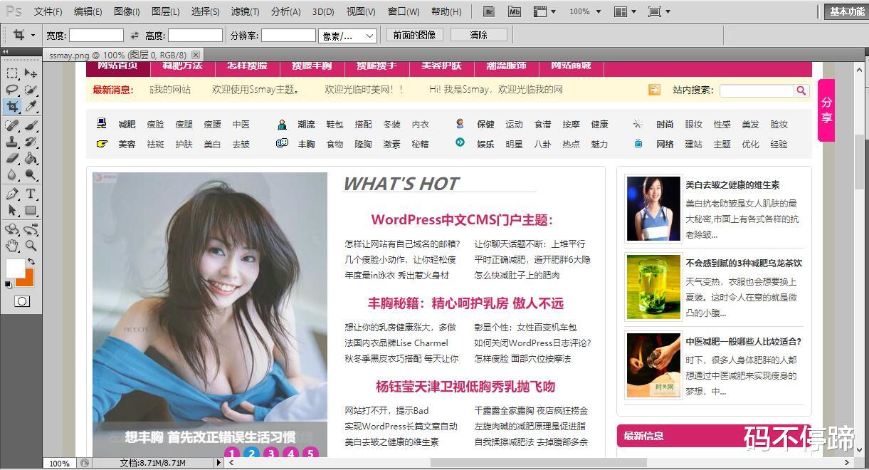 wp主题制作教程,wordpress本地配置主题布局