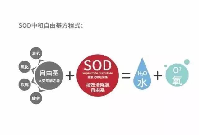大宝sod蜜真的那么好吗,大宝sod蜜抗氧化能正确使用方法