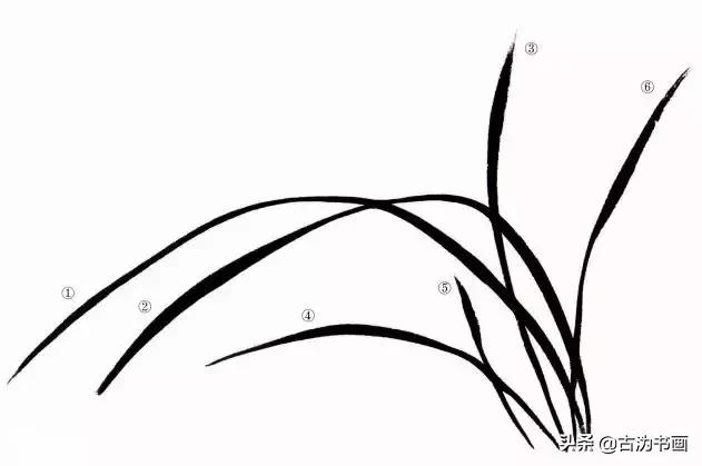 国画兰花技法讲解视频,徐湛国画兰花技法教学