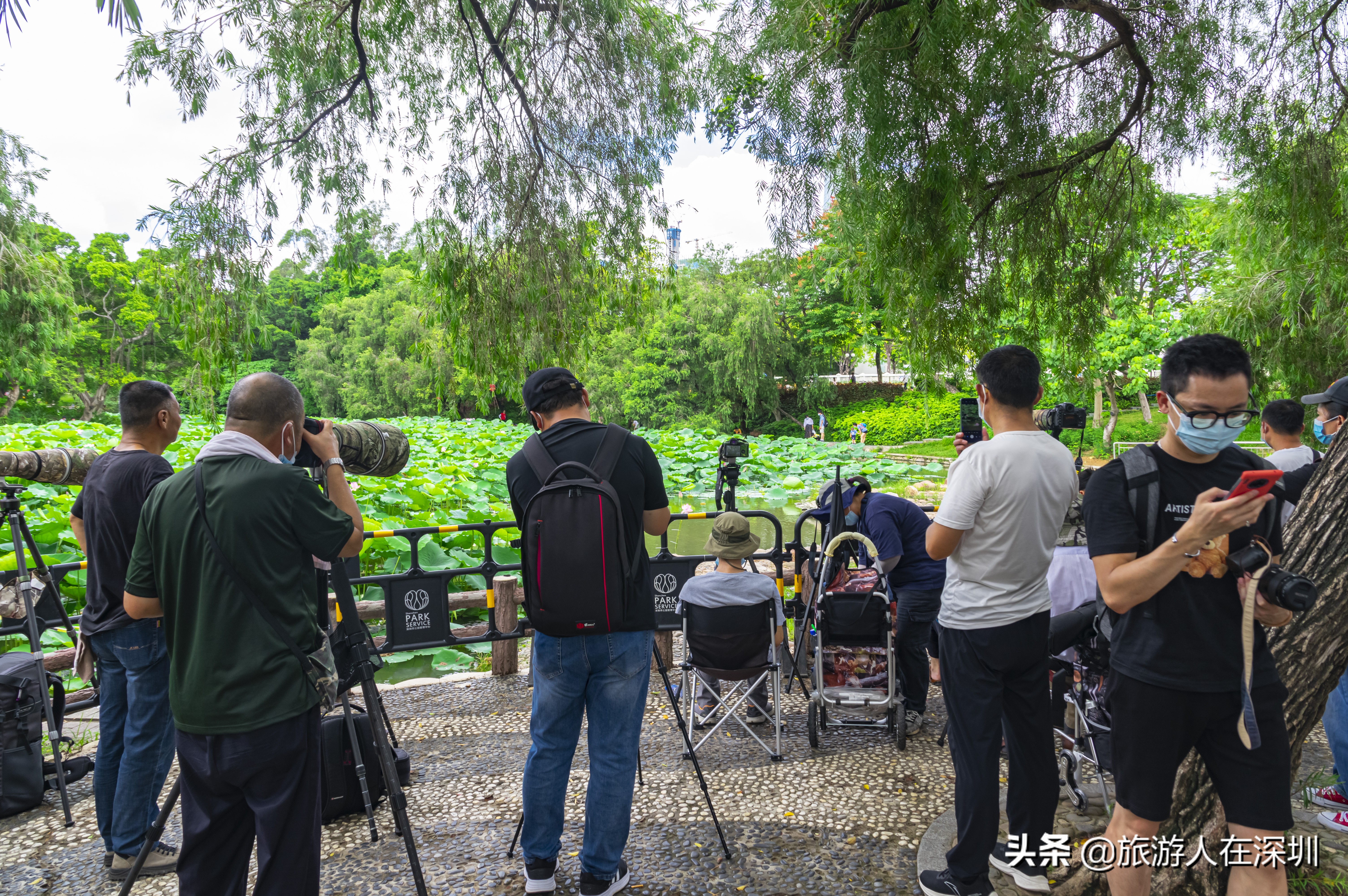 实拍深圳洪湖公园,深圳洪湖公园游玩攻略图