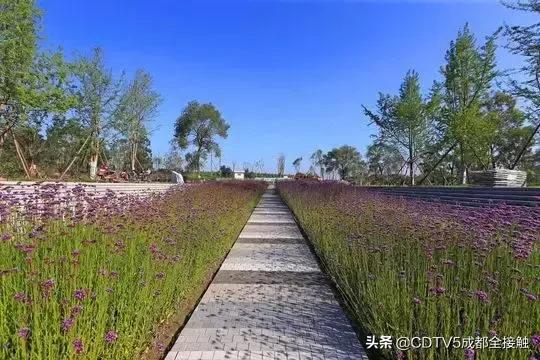 成都新发展理念的公园城市示范区,成都发展新篇章