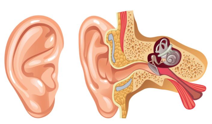 耳屎结成硬块一掏就出血,耳朵里耳屎粘在耳壁上像个瘤