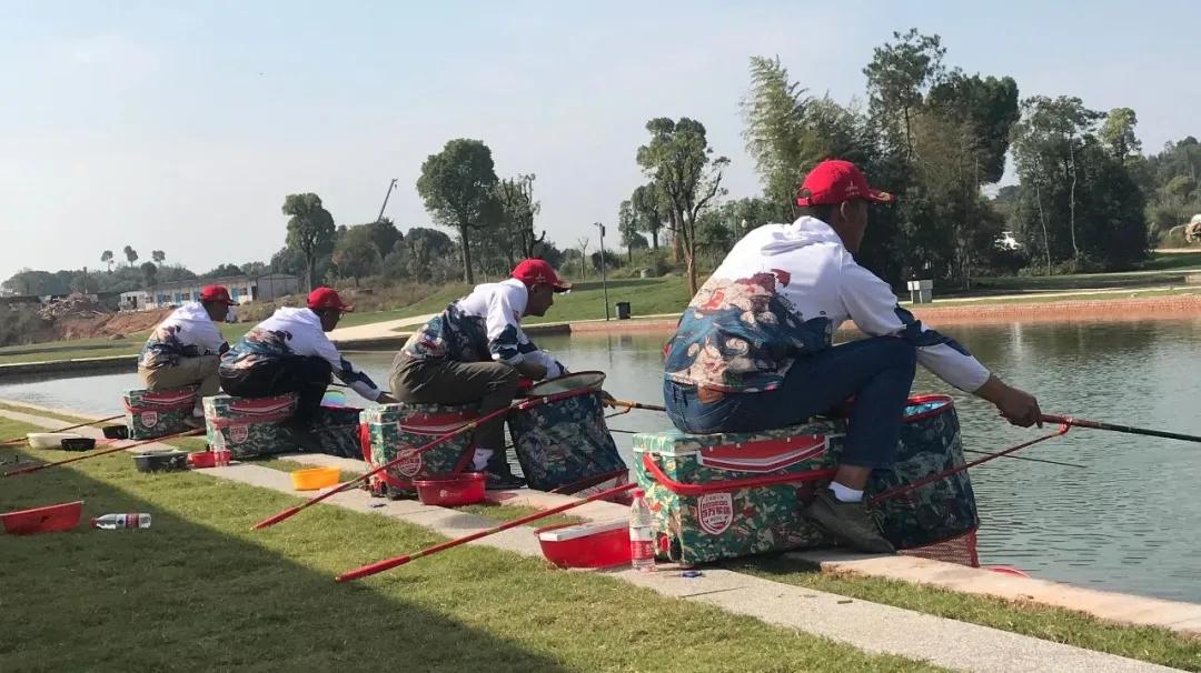 美人鱼战队王者之战夺冠,2019上海美人鱼冠军杯