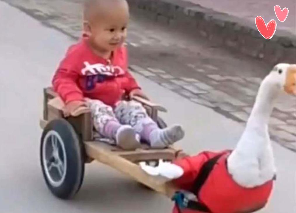 有种爷爷叫“别人家的”,树干、床垫做豪车,更有跑车“大黄蜂”