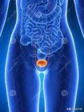 全息望诊大全视频,浅议生物全息律与中医望诊