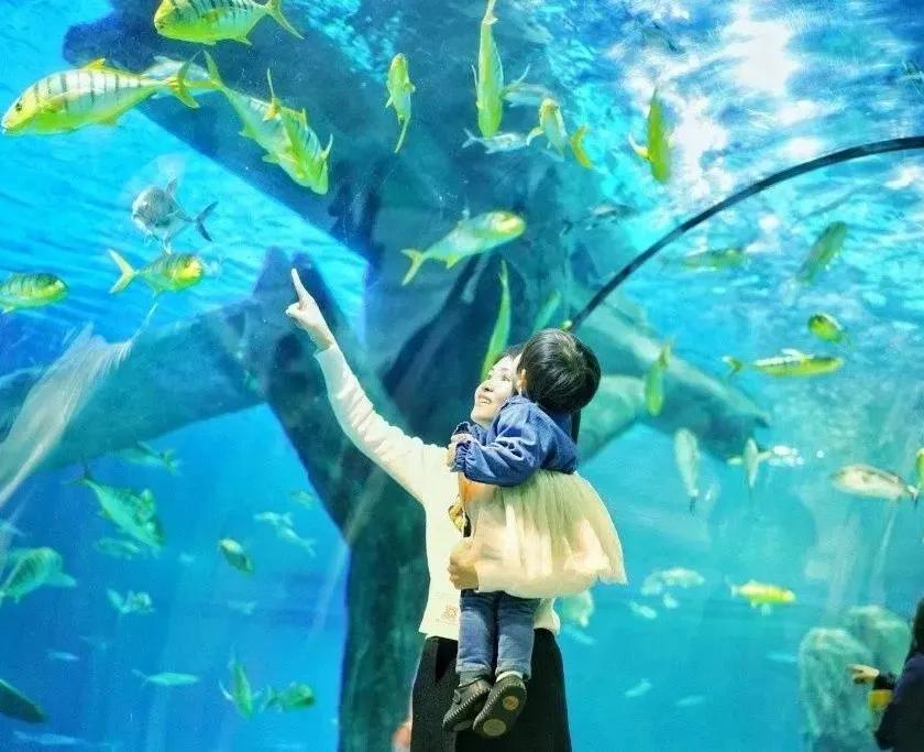 罗源乡下一日游,罗源一日游攻略自由行