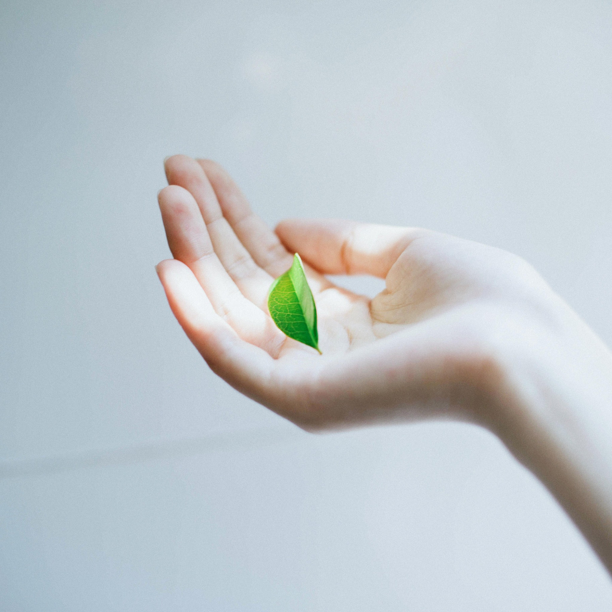 人穷还穷得理直气壮,果然穷能治愈一切矫情