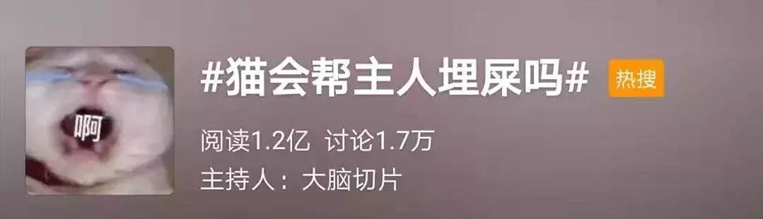 人类粪便或可治疗抑郁症！如果是你，能接受吗？