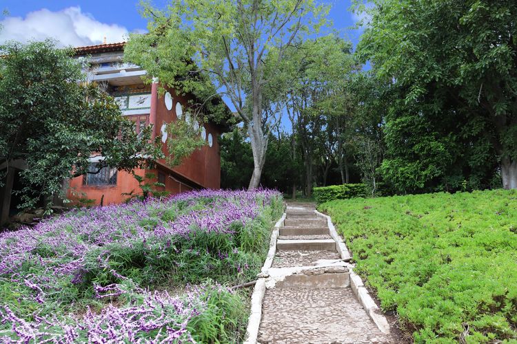 抚仙湖孤山上有什么景点,抚仙湖里的小岛