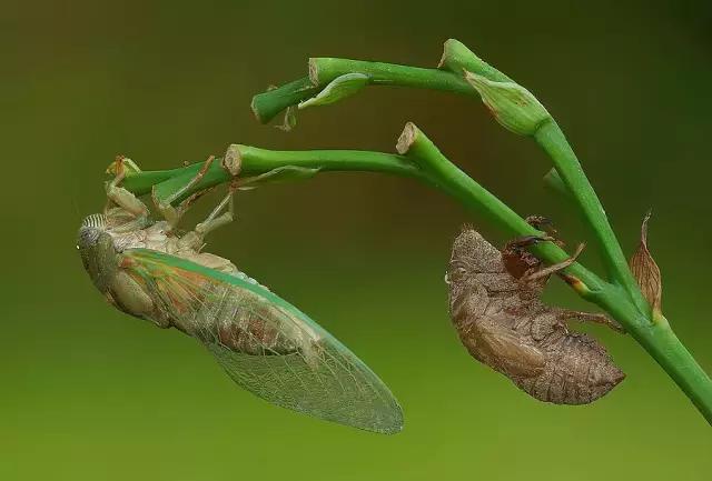 100个人生哲理短片,30个经典人生哲理