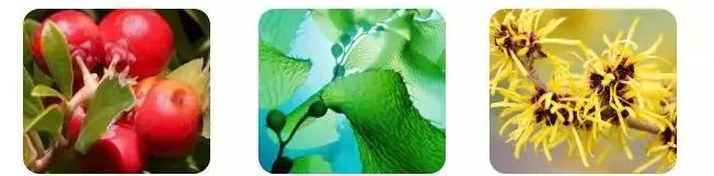 新西兰8分钟面膜真的好吗,新西兰八分钟面膜使用方法