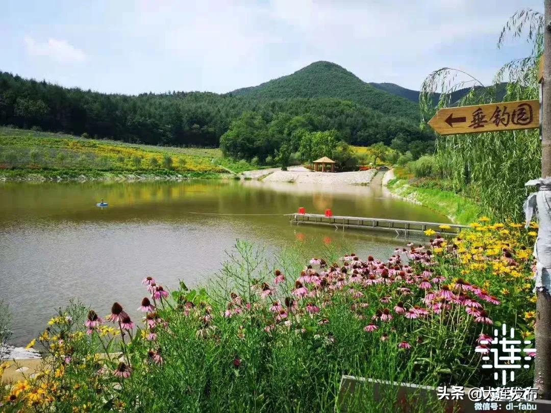 大连最美赏槐露营地,槐之乡露营地