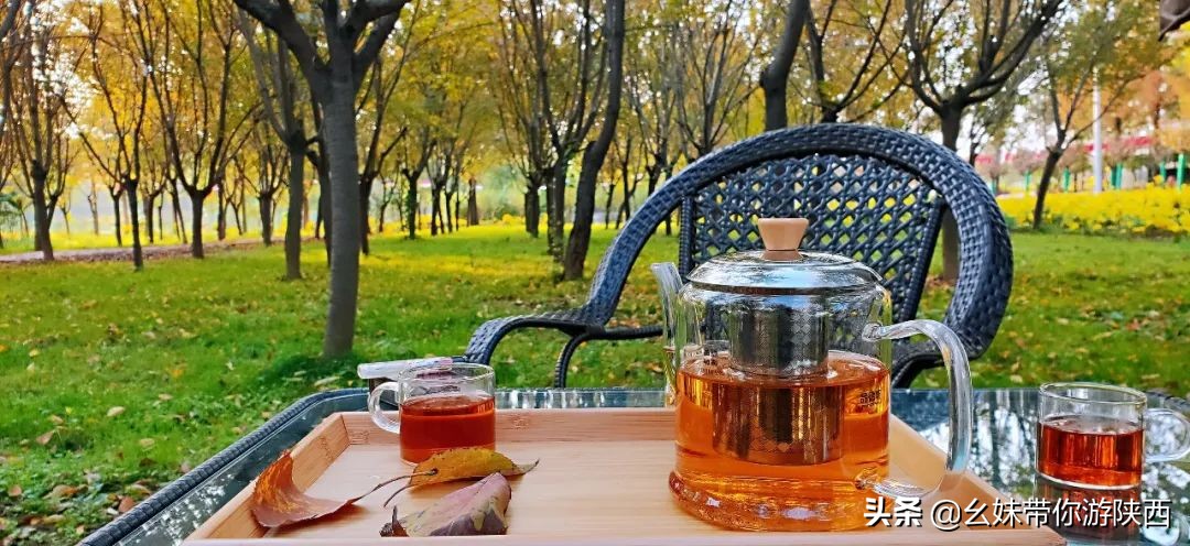 西安亲子农场庄园,西安亲子庄园