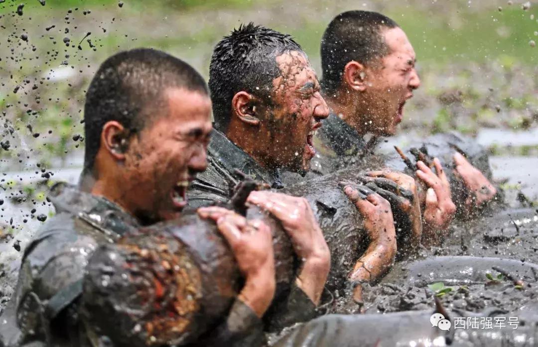 77集团军:不只是山地铁拳,更是全域尖兵