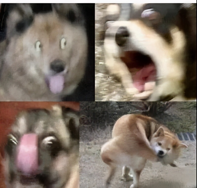 80元游戏卡牌拍出8700万元天价,八十万游戏卡拍卖