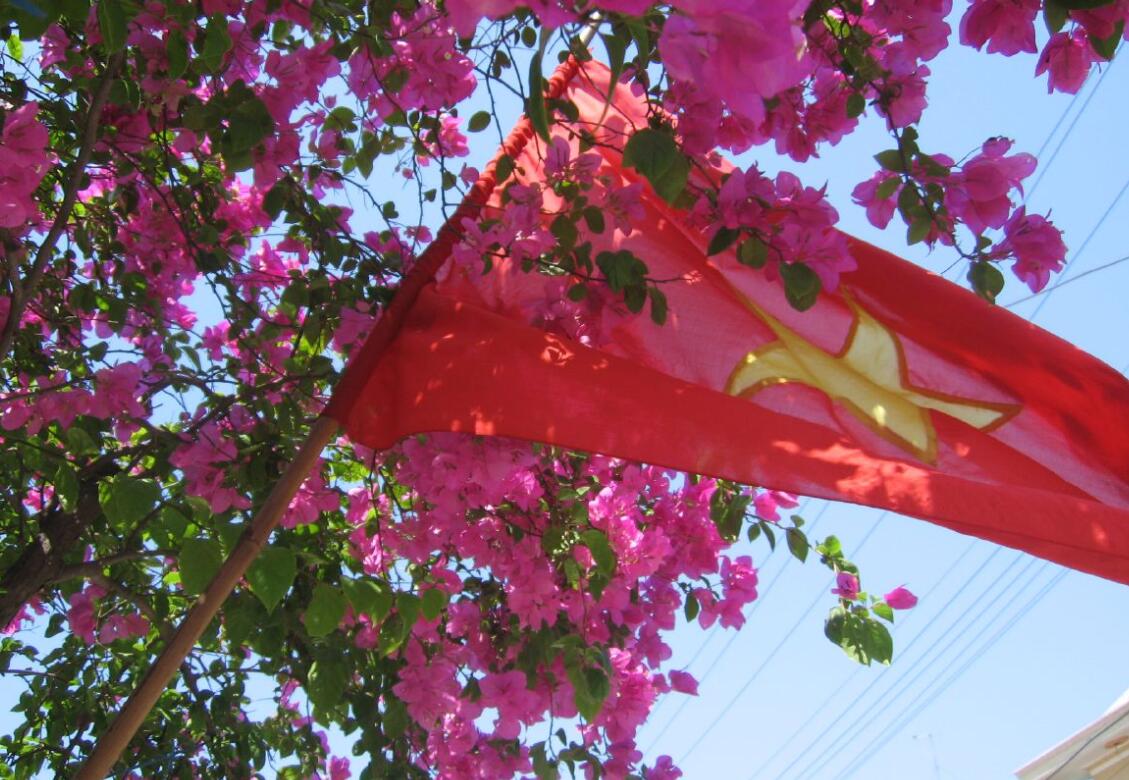 越南资金流入情况,一季度中国吸引外资5633亿