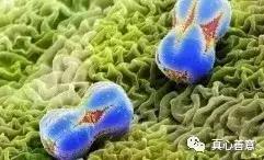 神话里有哪些神仙出现,神话中的科学现象