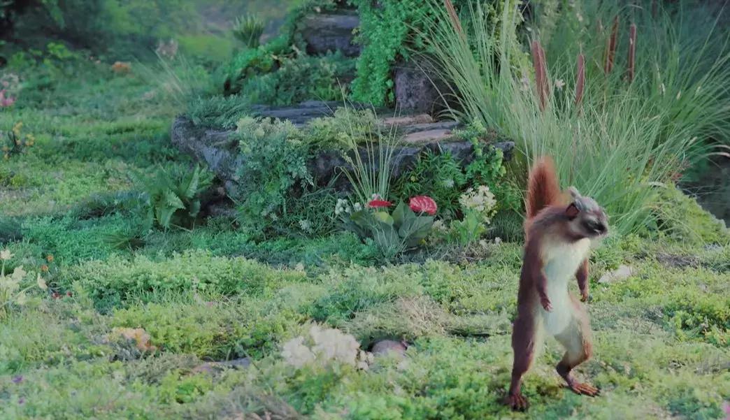 剧情雷人设糟，一山更比一山“高”，新倚天终于找到垫背的了