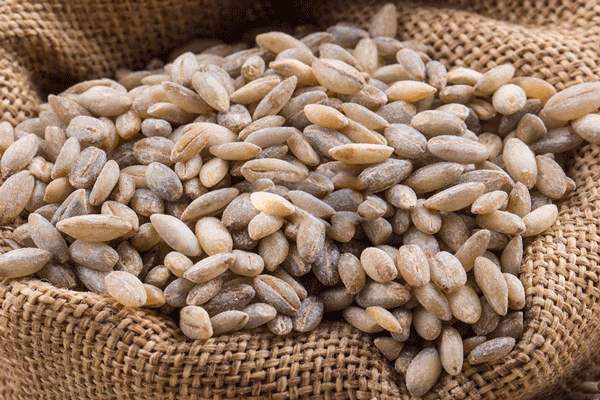 吃对三餐就能瘦,吃对三餐瘦身