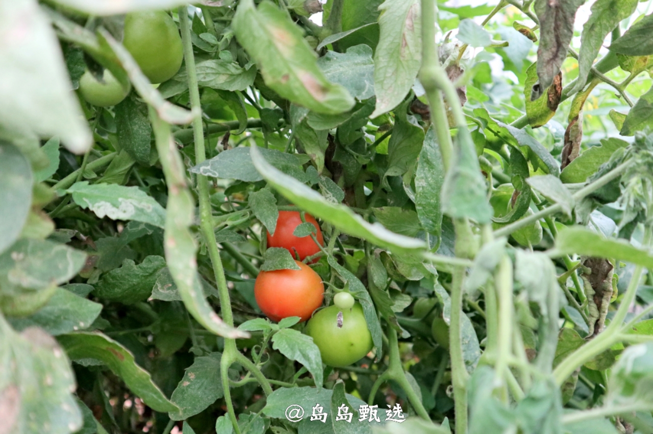 远离城市休闲的好地方,青岛郊区小众好去处