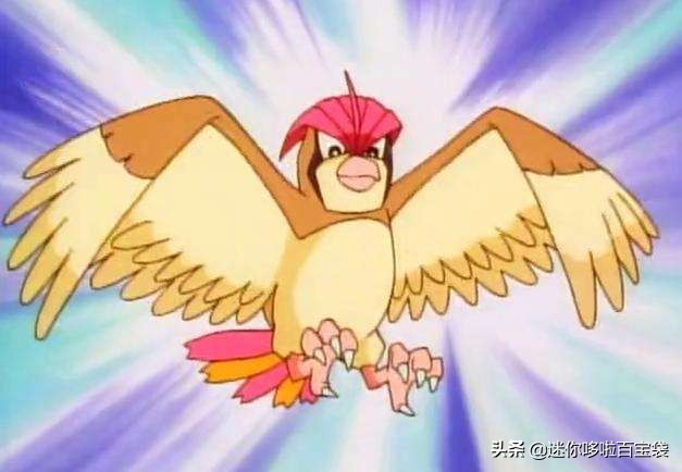 神奇宝贝最全图鉴,神奇宝贝图鉴大合集