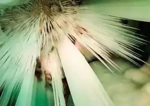 世界上真有万年不化的冰洞吗,最大的万年冰洞