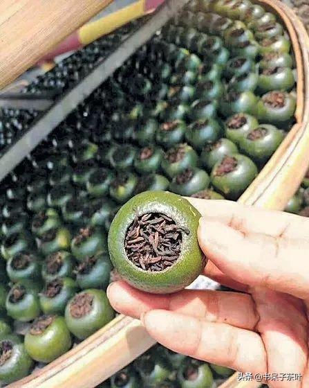 不贪小便宜,不交智商税,阿呆教你如何挑小青柑