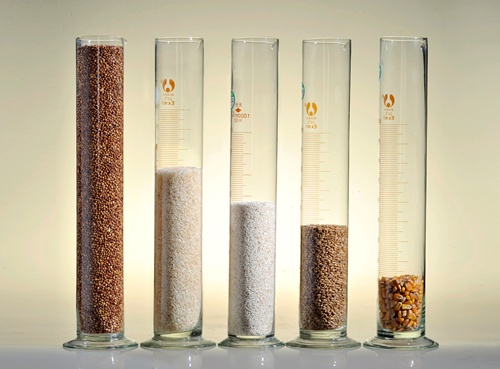 密集夺冠！五粮浓香系列酒闪耀多个国家级白酒评选活动