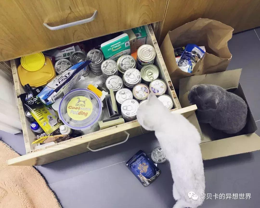 去年双十一她们买了这些，用了一年都不后悔！