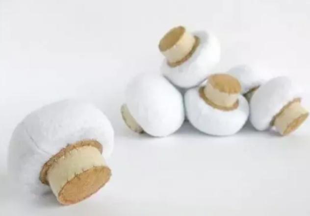 不织布幼儿手工蔬菜,不织布幼儿手工图片