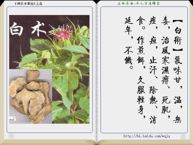 本草纲目中药讲解视频,本草纲目中药图谱及药理讲解