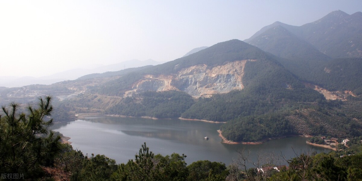 为什么现在的鱼难钓,鱼越来越难钓的原因终于找到了