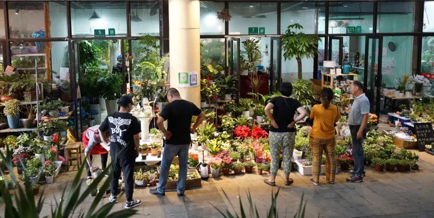 花卉市场晚上营业,今天的花卉市场