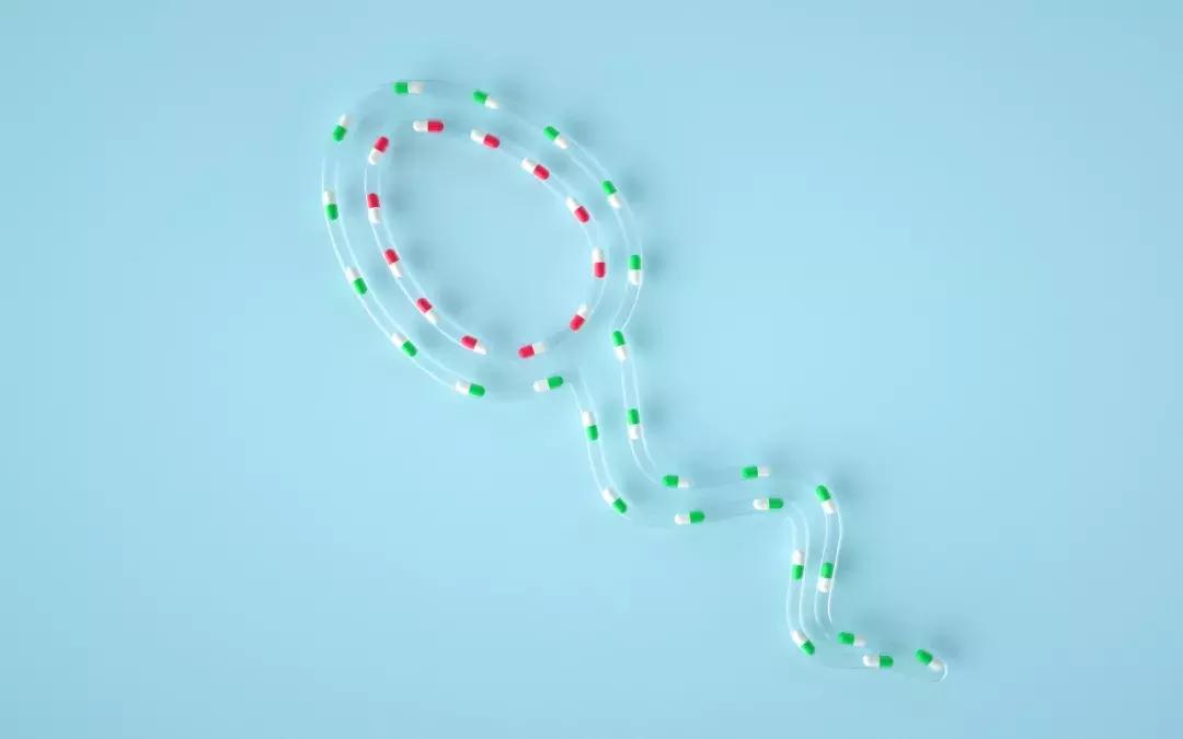 备孕时什么汤对小蝌蚪好,男性备孕建议吃的食物