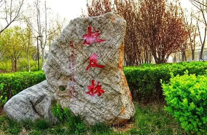 天津公办3+2本科学校有哪些,天津市专升本天津师范大学