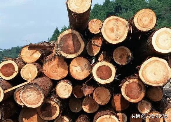 玩木头书籍,玩木头的