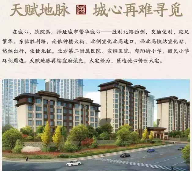 宣化篮球总决赛,篮球赛火热来袭