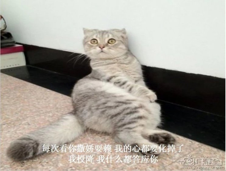 我只想说声爱你,只想再爱你一次